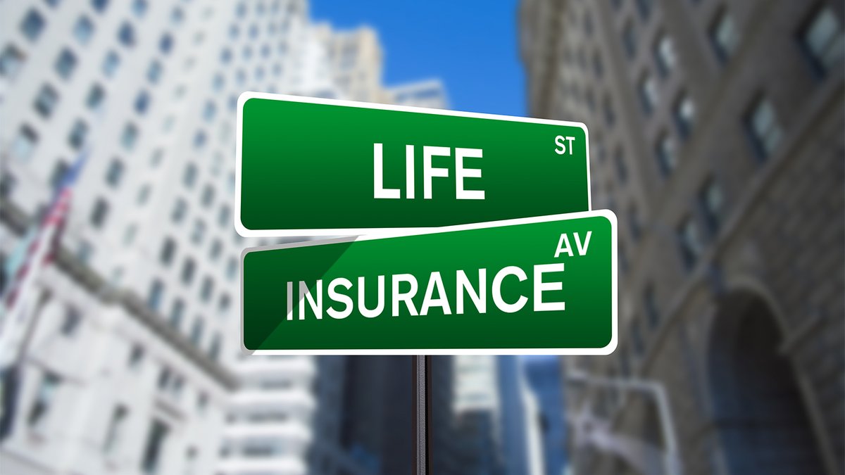 Your Life is on a path that requires Insurance.
813-716-0262
#life #lifeinsurance #lifeinsurancepolicy #lifeinsuranceagent #lifeinsurancebroker #lifeinsuranceagents #lifeinsurancequotes #lifeinsurancematters #lifeinsuranceawareness