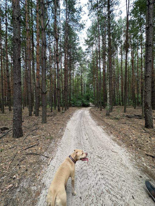 When this night came to an end https://t.co/v070L8oDCq