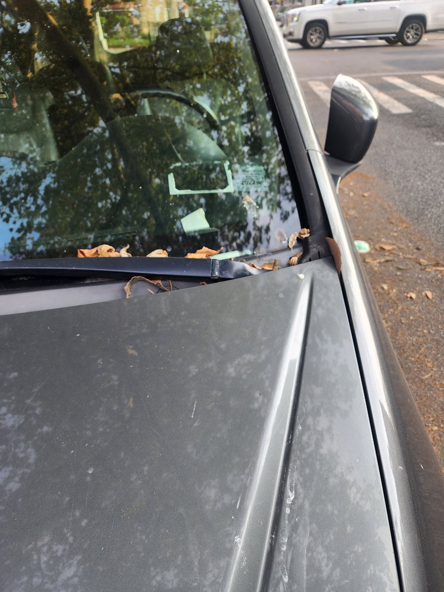 NittyRegulator's tweet photo. Bogus plates expired inspection sticker and flat tires. On the corner of E 57th st and Lenox rd. @NYCSanitation @NYPD67Pct @nycdot @nyc311. This is an on going situation. https://t.co/uygLFS7cH3
