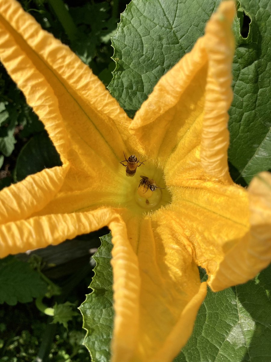 Jacque Galas tweet media