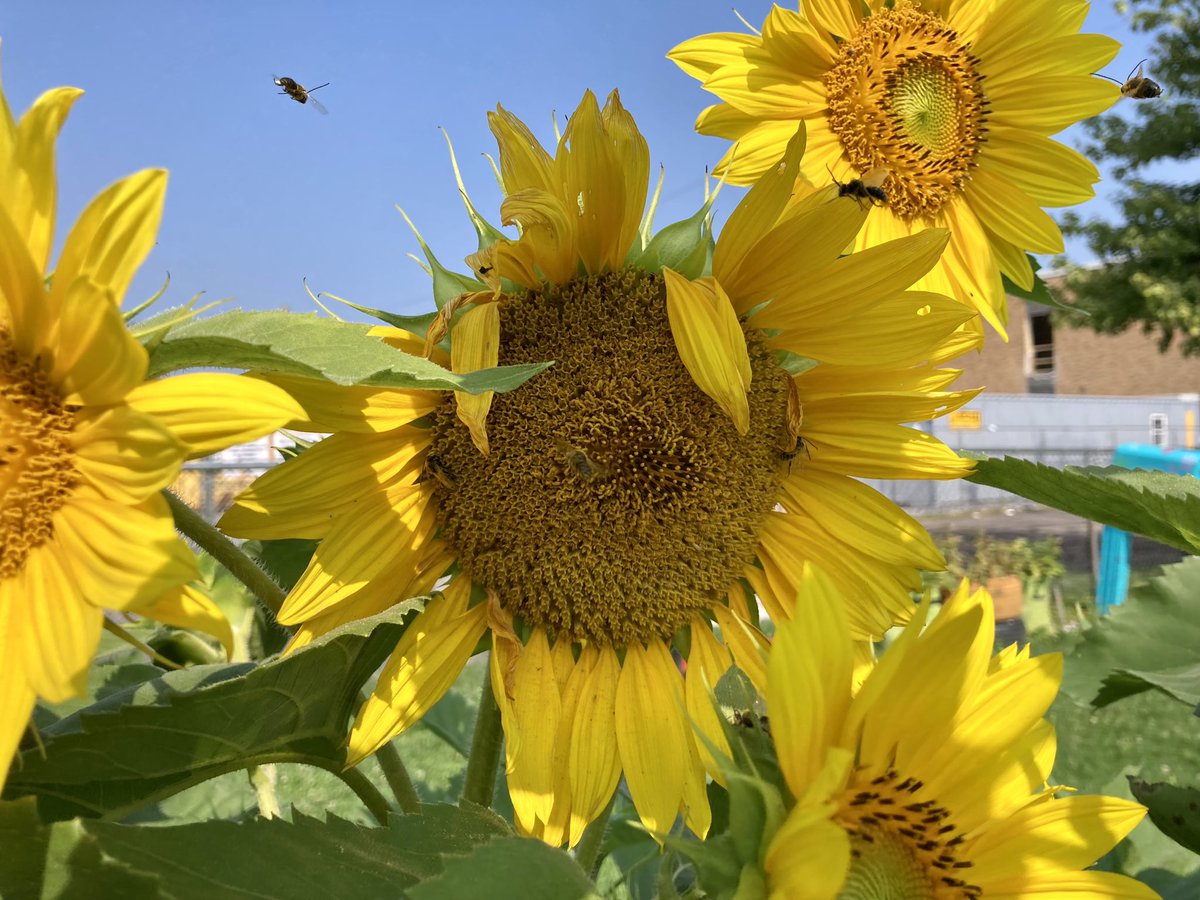 Jacque Galas tweet media