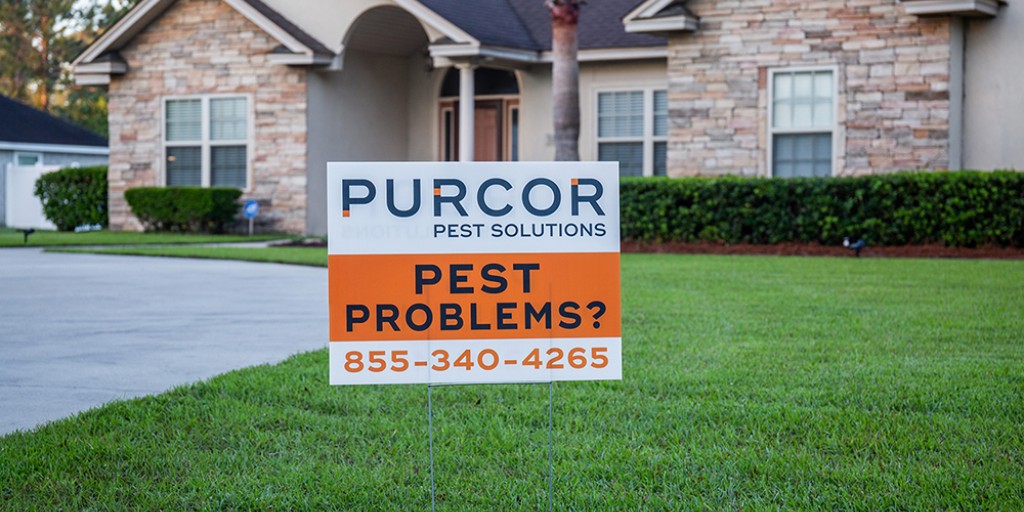 Pest problems? We have solutions! 👉 purcorpest.com