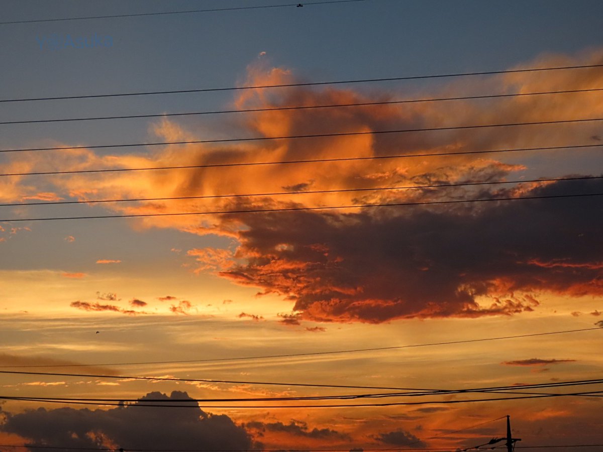 yumeasutw's tweet photo. 夕空を駆ける火龍🐉🐉🔥

いつの間にか沸き立つ入道雲達が消えた日の入りの頃
西から北へ長～く棚引く
まるで火を吹く2匹の龍の様な雲🔥

#空の名前
#天気の図鑑 #雲の超図鑑 #雲友の会
#火雲
#夕空 #夕焼け #電線
#マジックアワー #ゴールデンアワー #sunset
#pic0803
#a2023 #a0804 #a202308 https://t.co/HaGQzo6D80