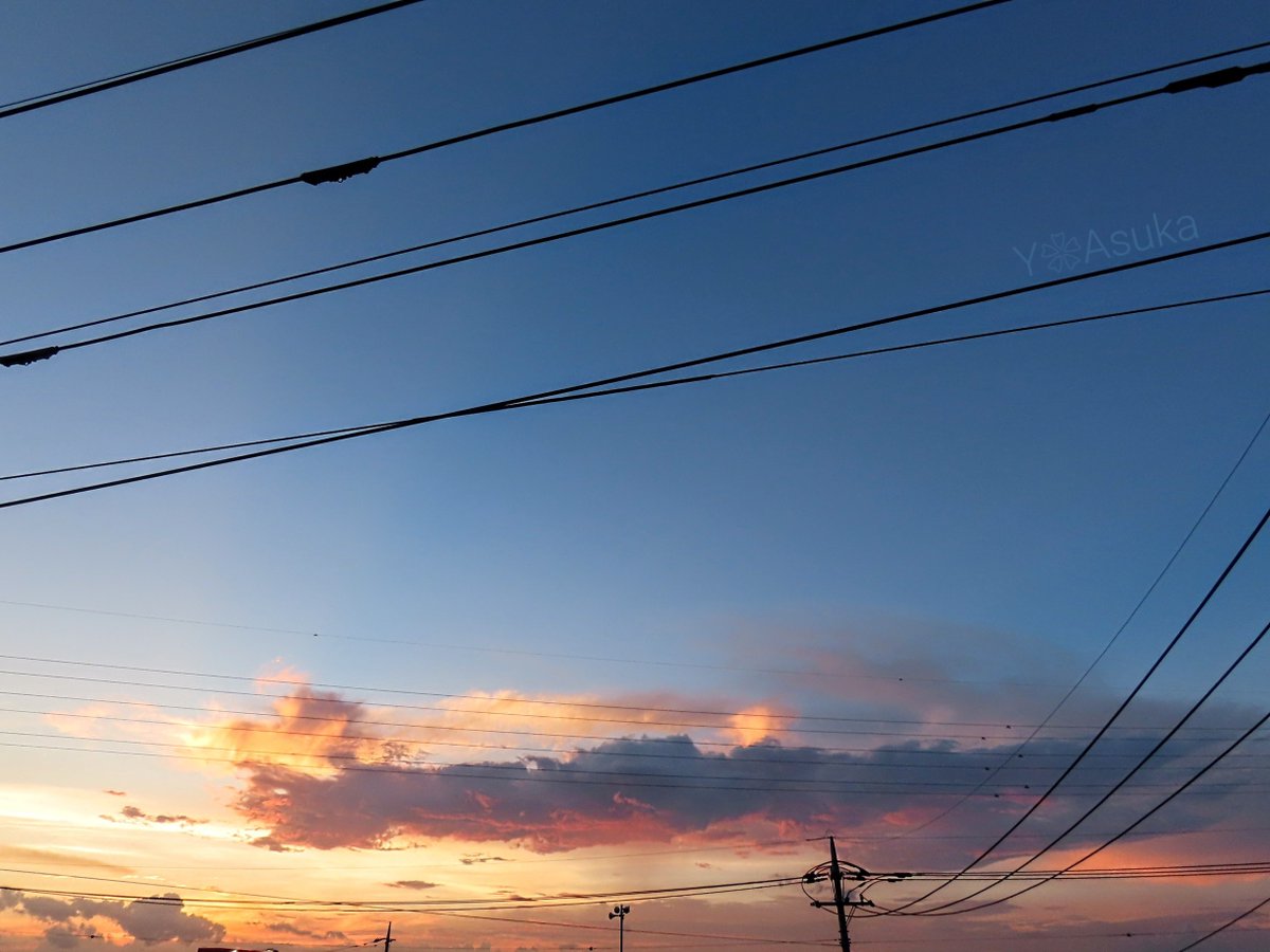 yumeasutw's tweet photo. 夕空を駆ける火龍🐉🐉🔥

いつの間にか沸き立つ入道雲達が消えた日の入りの頃
西から北へ長～く棚引く
まるで火を吹く2匹の龍の様な雲🔥

#空の名前
#天気の図鑑 #雲の超図鑑 #雲友の会
#火雲
#夕空 #夕焼け #電線
#マジックアワー #ゴールデンアワー #sunset
#pic0803
#a2023 #a0804 #a202308 https://t.co/HaGQzo6D80