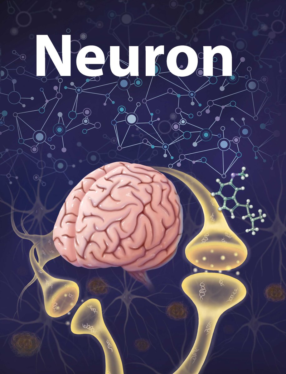 Enlight_Visuals's tweet image. Happy #sciartportfolioweek! Here are some of my favorite neuro-related illustrations. Drawing and visualizing the brain is so much fun.🧠

#medicalillustration #scientificillustration #neuroscience #blackinneuro