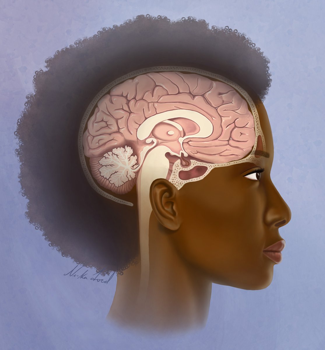 Enlight_Visuals's tweet image. Happy #sciartportfolioweek! Here are some of my favorite neuro-related illustrations. Drawing and visualizing the brain is so much fun.🧠

#medicalillustration #scientificillustration #neuroscience #blackinneuro