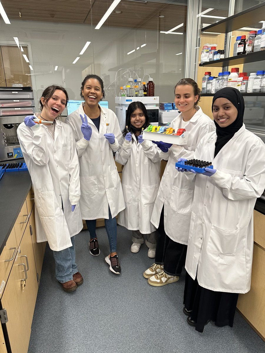 Luana B. Anton tweet media