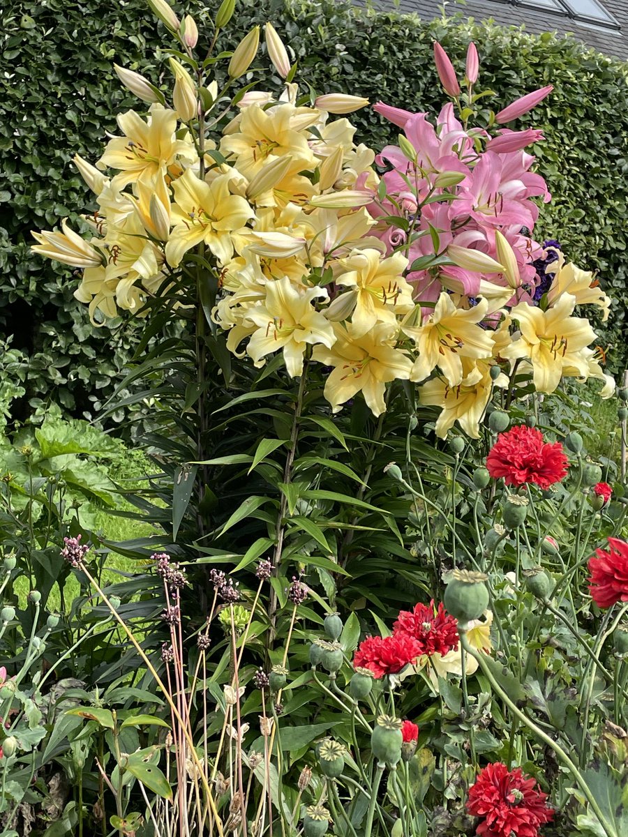 Gonna need a bigger vase…