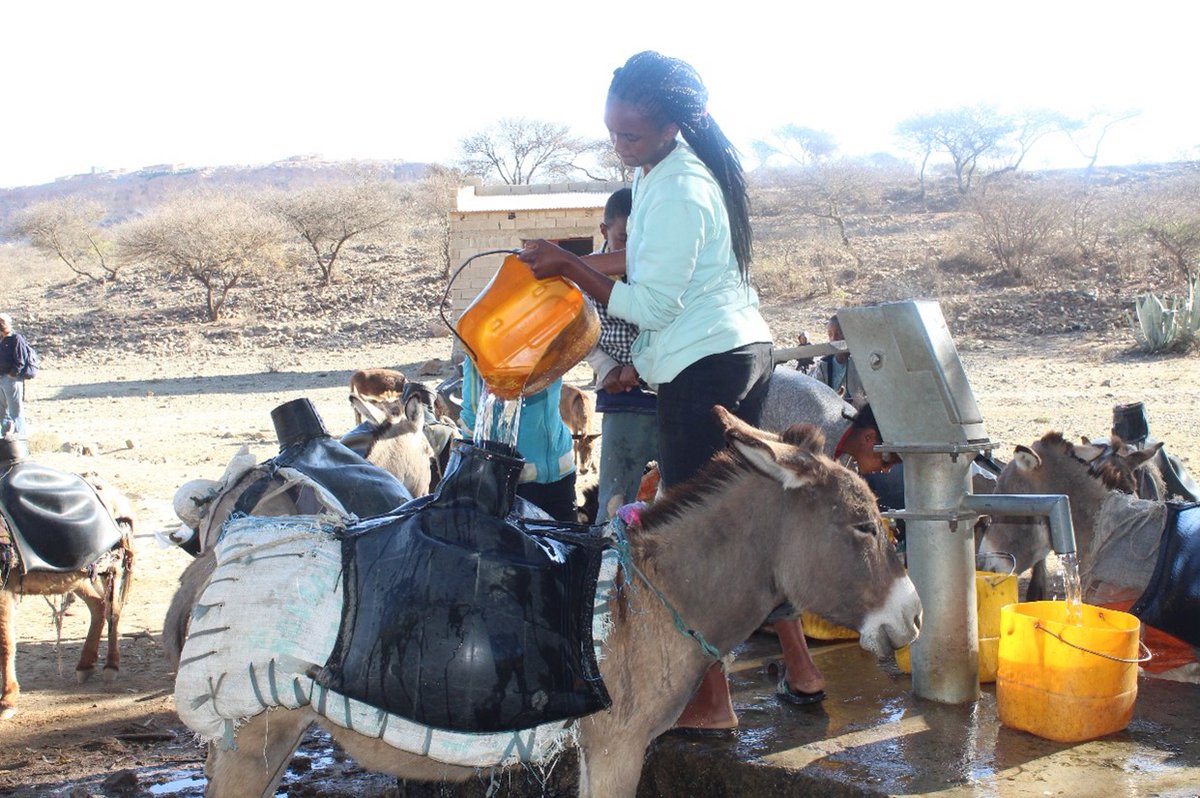 🌍 Exciting partnership 🤝<a href="/SMBCAVIATION/">SMBC AviationCapital</a>  teamed up with us to provide safe water to Eritrean villages. Repairing water points and empowering communities with maintenance skills, benefiting 6,000 people. Plus, a yearly CO2e reduction of 1,875 tonnes.
MORE👇
vitaimpact.org/2023/08/03/sus…