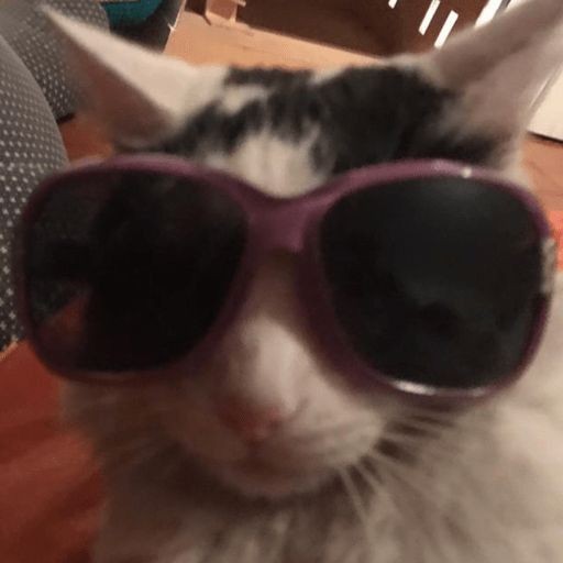 taehyun as cats (@taehyuncats) on Twitter photo 