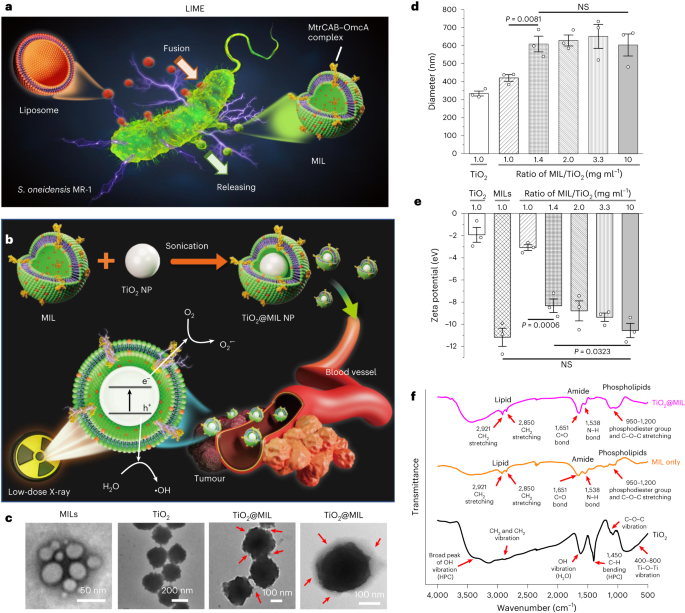 New content online: Electroactive membrane fusion-liposome for increased electron transfer to enhance radiodynamic therapy dlvr.it/St8dYD