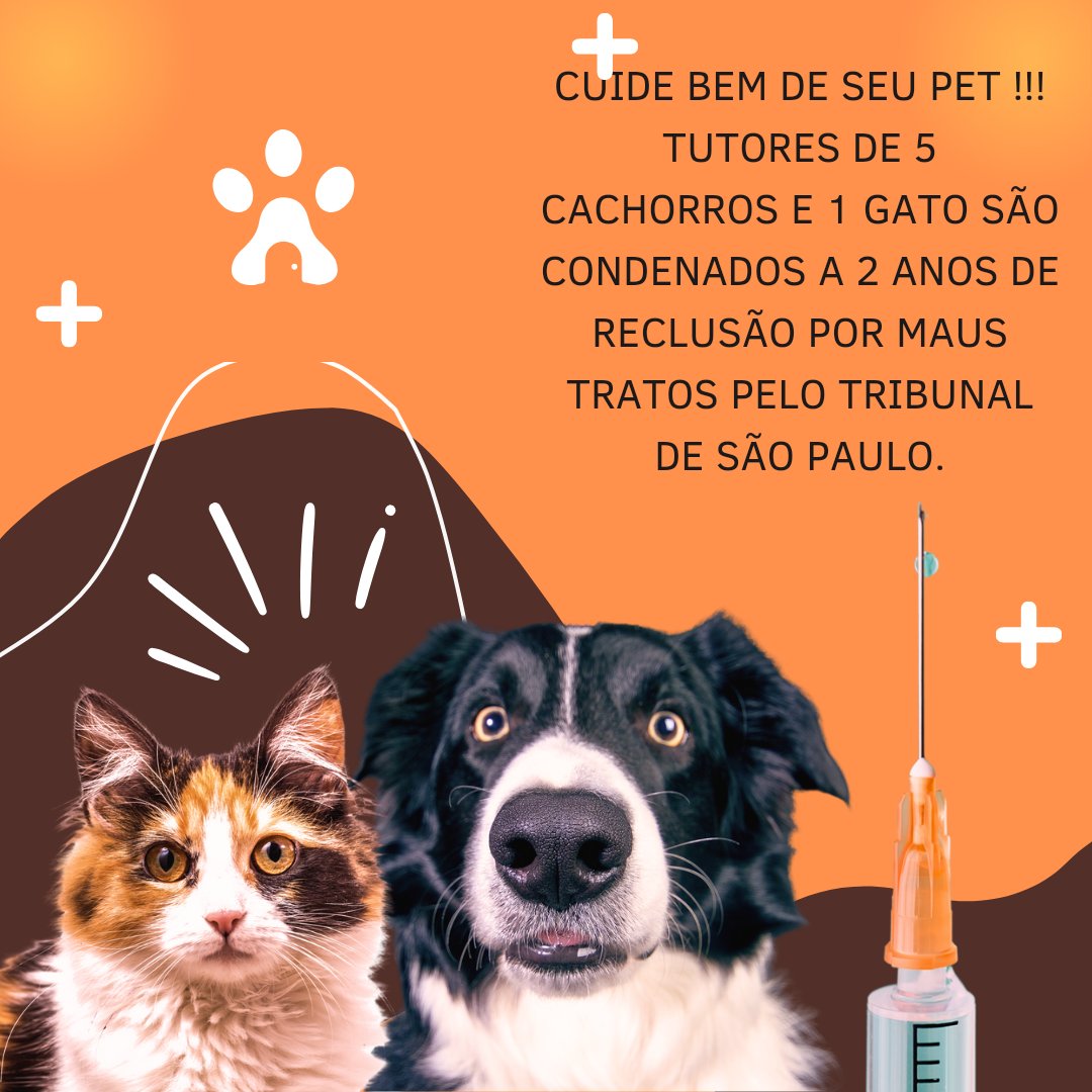 affonso72's tweet photo. #pet #petlovers #gatos #cachorrosdobrasil #gatoetudodebom #gatoecachorro #seupetmereceomelhor https://t.co/FaqjoGnzng