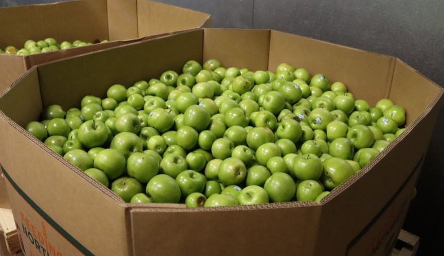 generalproduce's tweet photo. @SacFoodBank receives only the best quality produce!

#sacfoodbank #sfbfs #donate #freshproduce
📸 Credit: @SacFoodBank https://t.co/t1plwVnGlp