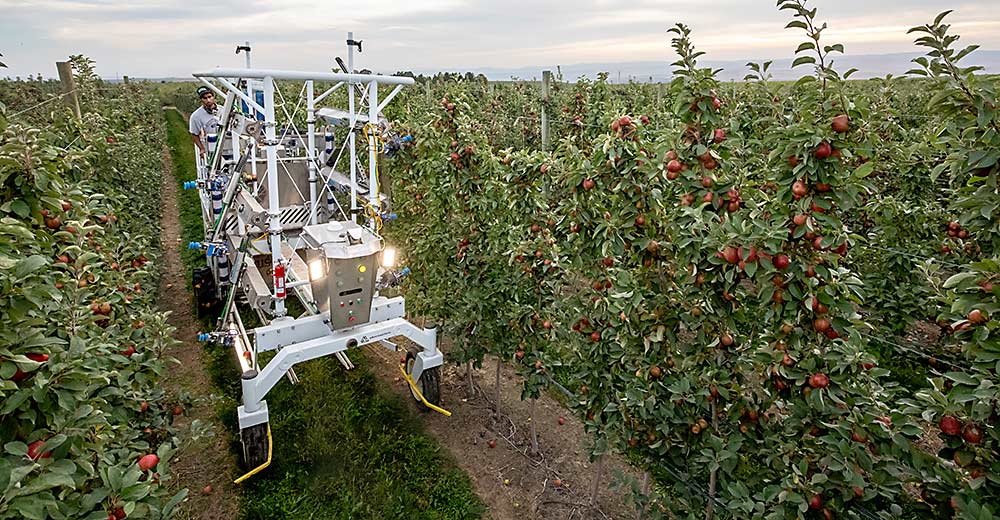 Good Fruit Grower tweet media