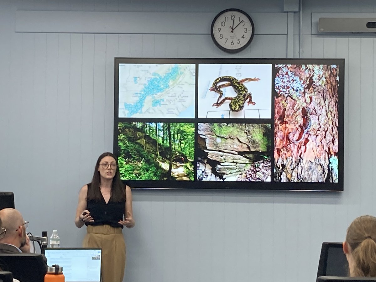 David Munteanu tweet media