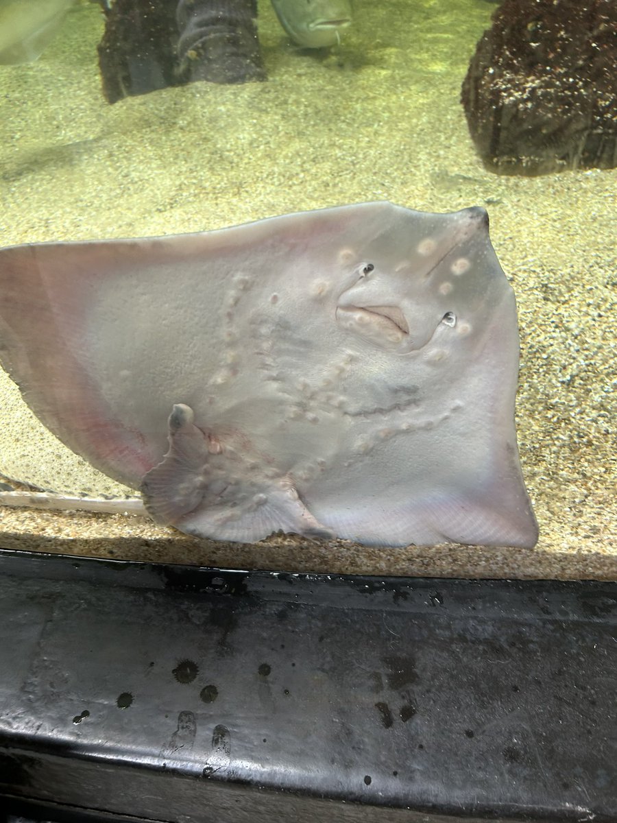 I met Ray Charles also.