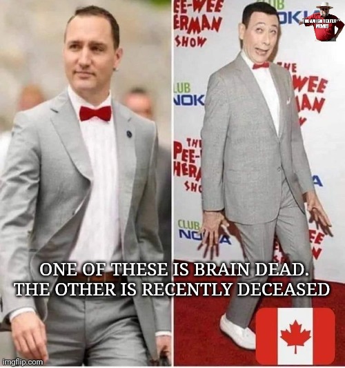 the_amish_txtr's tweet photo. I'll miss #PaulReubens.
I won't ever miss Fidel Castro's son Justine Castro-Turdeau @JustinTrudeau
#Trudeau
#TrudeauMustGo
#TrudeauBrokeCanada
#TrudeauSeparation
#TrudeauDestroyingCanada https://t.co/Yt8ROqavYB