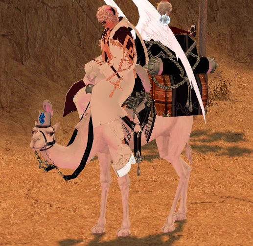길드 낙타 머싯다