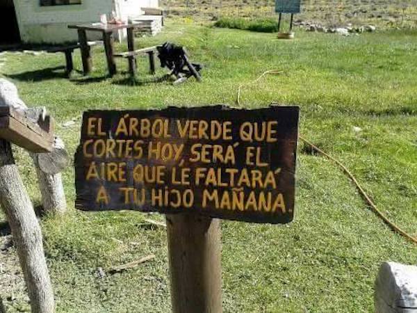 El árbol que cortes hoy, será el aire que le faltará a tu hijo mañana 🌳🥹
