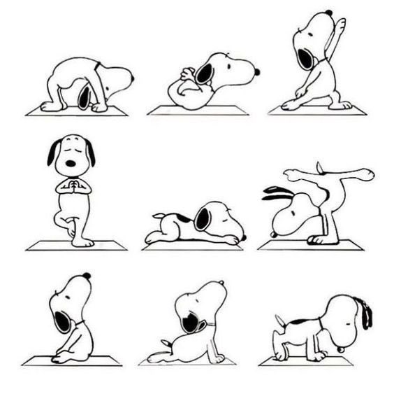 hi!!! remember to stretch today