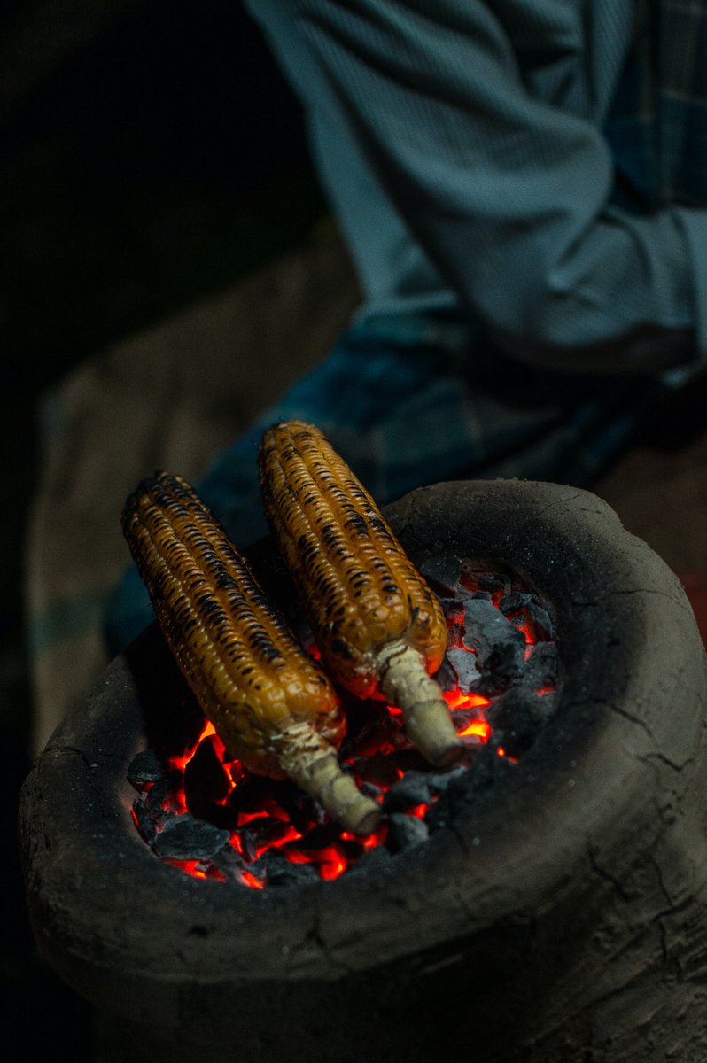 agrosupplyug's tweet photo. EAT SOME MAIZE TODAY!!😋
Maize is a good source of carbohydrates, fiber, vitamins, and minerals like vitamin A, potassium, and magnesium, making it a healthy addition to any diet.
#eatsomemaizetoday
#Farming4theFuture https://t.co/egiRRlau0T