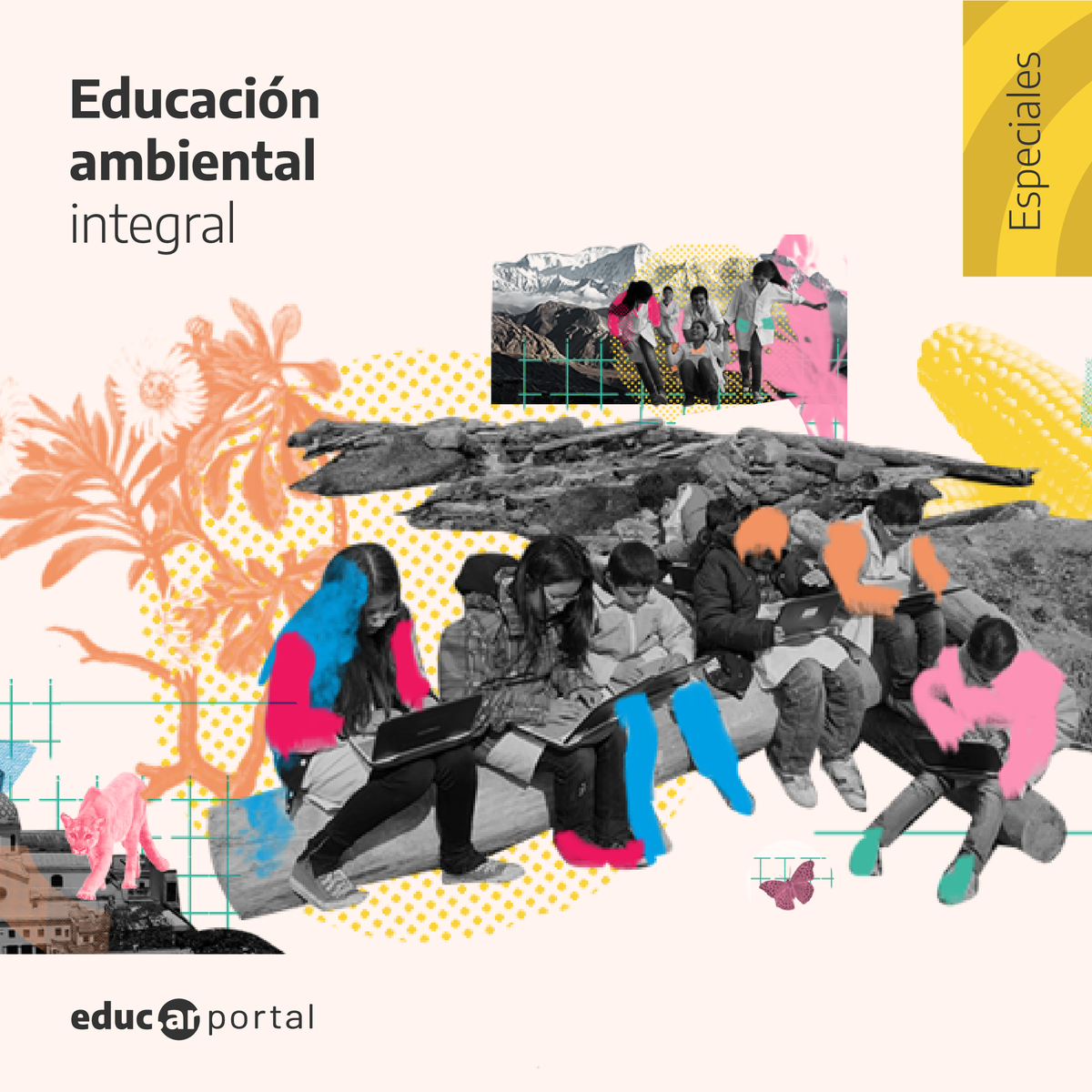 educarportal's tweet photo. 🌲👨‍💻¿Por qué es importante pensar, conocer y cuidar el ambiente desde la escuela?  

Accedé al especial de Educación Ambiental para educar en una conciencia ambiental.

▶ https://t.co/7WUWIhX1hN https://t.co/aCt8WjRTTV