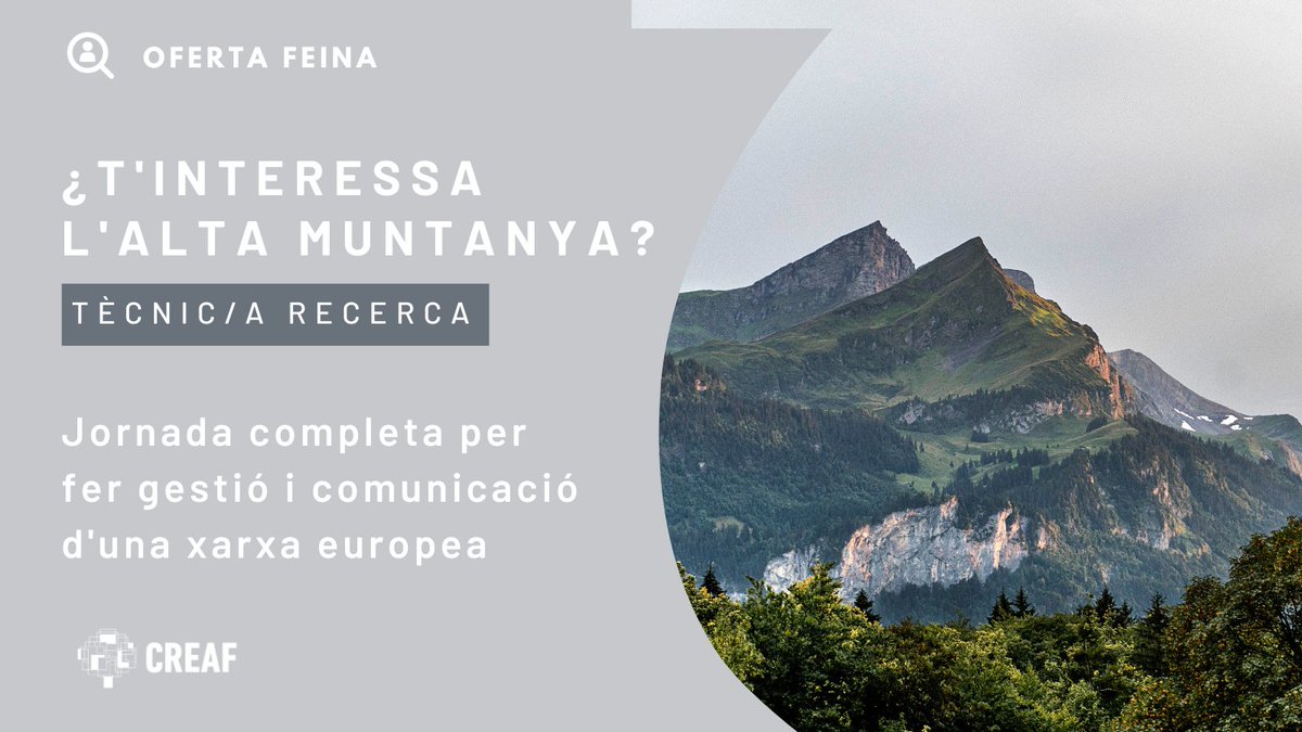 CREAF_ecologia's tweet photo. 📢 Ppssst, venim amb una #ofertalaboral! Precisem incorporar una persona qualificada per treballar a la xarxa de #recerca en muntanyes 'NEMOR' 🗻✨ S'ofereixen 2 anys de contracte (prorrogables) i un salari de 28.170 euros bruts/any.

Tota la info a https://t.co/uqxcs9CUyh https://t.co/z6F4QHXLbX