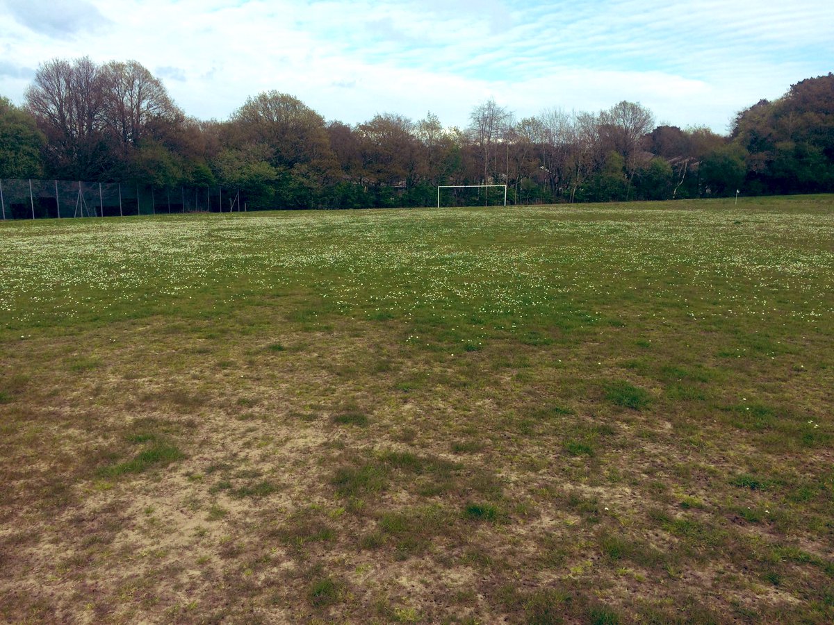 waungalaxysnrs's tweet photo. 🥳FAW TIER 4 GROUND CRITERIA ACHIEVED🥳

We are delighted that our home ground Waunarlwydd Park has officially met the criteria for FAW Tier 4 during an assessment yesterday. A lot of hard work has gone into turning a disused field into a hub of football activity in our community https://t.co/8s7DvEcxRd