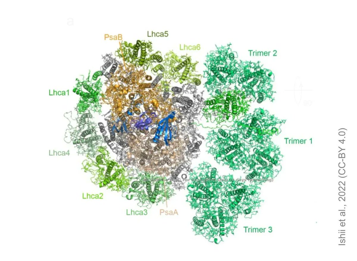 Preprint Review tweet media