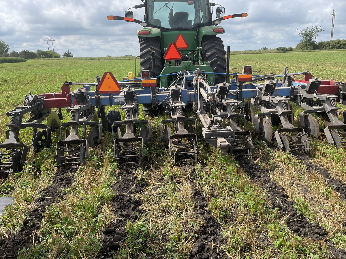 nciacrops's tweet photo. A little taste of the upcoming strip till field day on August 10 near Renwick.  Join us for this demonstration day.  Details and registration at https://t.co/kGd3Z4OF1H https://t.co/YMeiFkJqdN