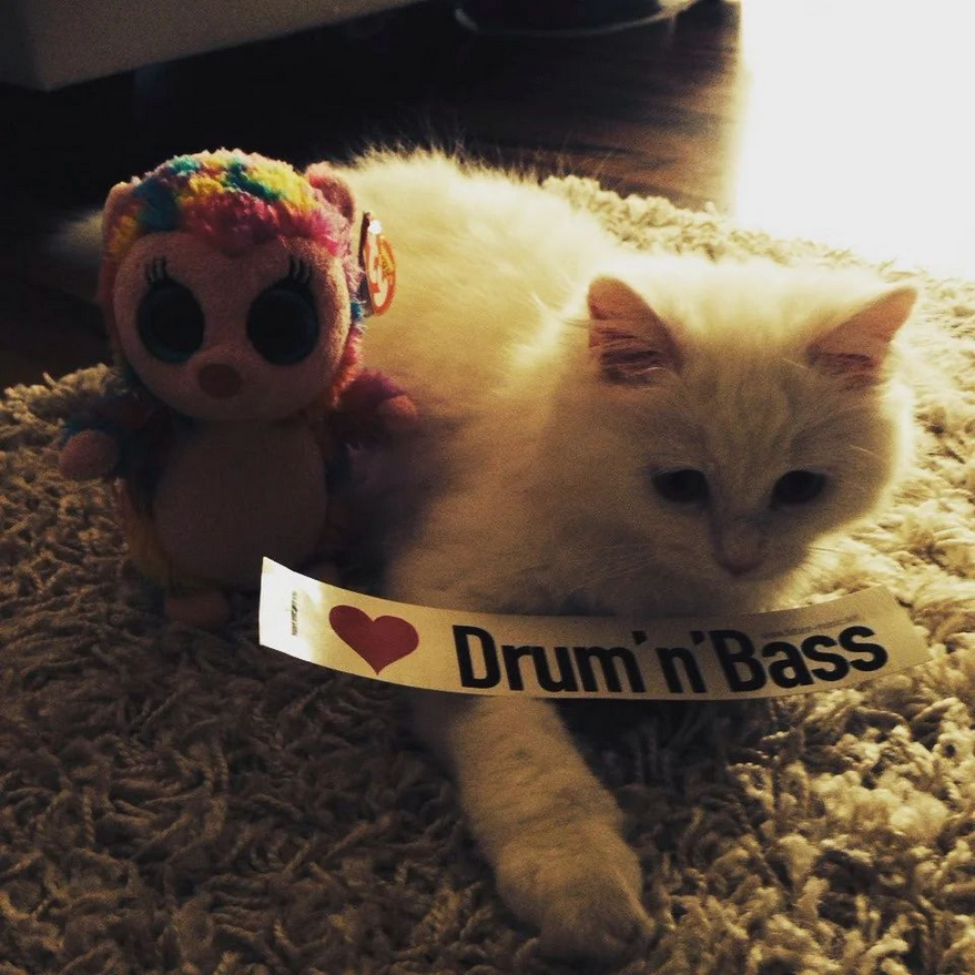 #drumandbass #dnbfamily #drumnbass #welovedrumandbass #ilovedrumandbass #dnbmusic #drumandbasslover