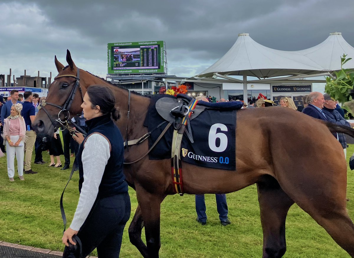 💚 ZARAK THE BRAVE 💚

Winner of the Galway Hurdle ☘️🏇

#GalwayRaces