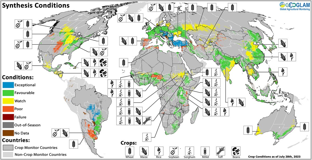 GEOCropMonitor's tweet image. Out today: The #CropMonitor August reports. #CM4AMIS, #CM4EW, and the Global Crop Monitor showing crop conditions across the world. Full reports available at cropmonitor.org