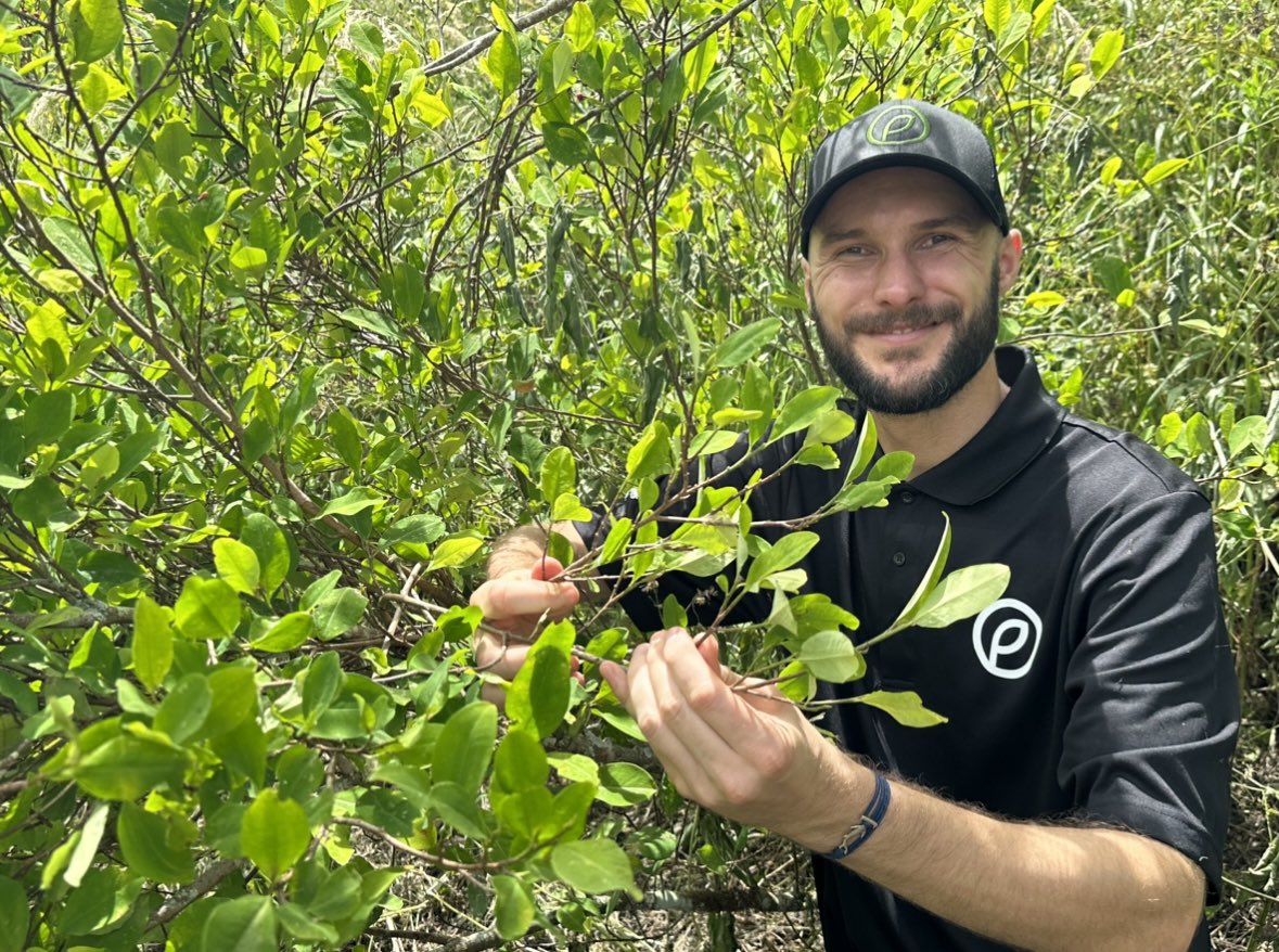 powerleavescorp's tweet photo. Our Chief Science Officer, Tobias Postma, in the coca fields on the Nasa Wala Indiegnous lands.🌱

#cocaleaf #coca #cocaextract #decocainized #foodandbeverage #ageofcoca #powerleaves #plc #indigenous #colombia #plantmedicine #invest #science #fertilizer https://t.co/ndpLFIYyxz