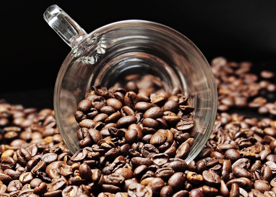 Kenya exported 6,447 tonnes of coffee the highest in last 14 years. 
This made kenya Kshs4.83 Billion.
#kenyancoffee