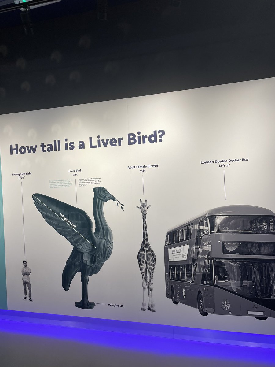 Yas_SW1's tweet image. Took one of my YP with a co- worker to the liver bird tour this afternoon. Was a great day out for us all but it was so lovely to see our YP throughly enjoy it! Loved that we was able to provide this experience for them.