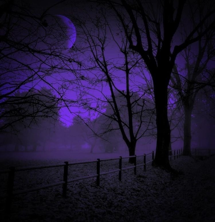 violettweets_'s tweet photo. purple haze. https://t.co/pT04cNByhQ