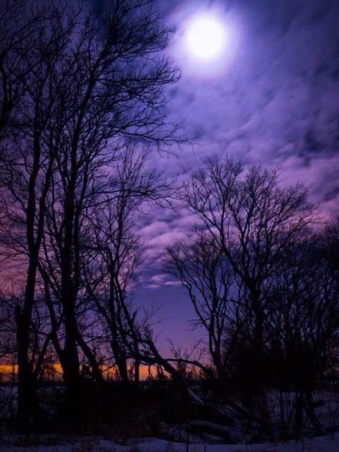 violettweets_'s tweet photo. purple haze. https://t.co/pT04cNByhQ