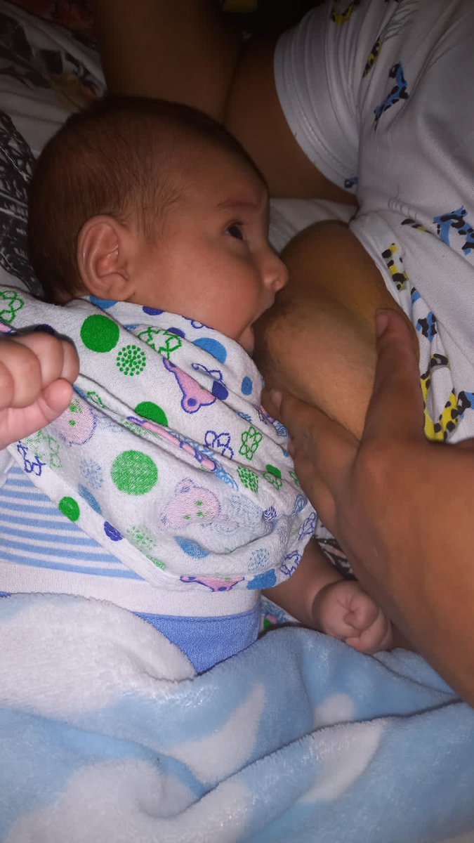 SilviaCFelizzo1's tweet photo. “Celebramos la belleza de la lactancia materna en todas sus formas, porque cada gota de leche es un acto de amor” DIMF San José Caldas se une a #Lactatón @ICBFColombia @MinSaludCol @NatyFunexito 🩷 https://t.co/6oZnT4THX9