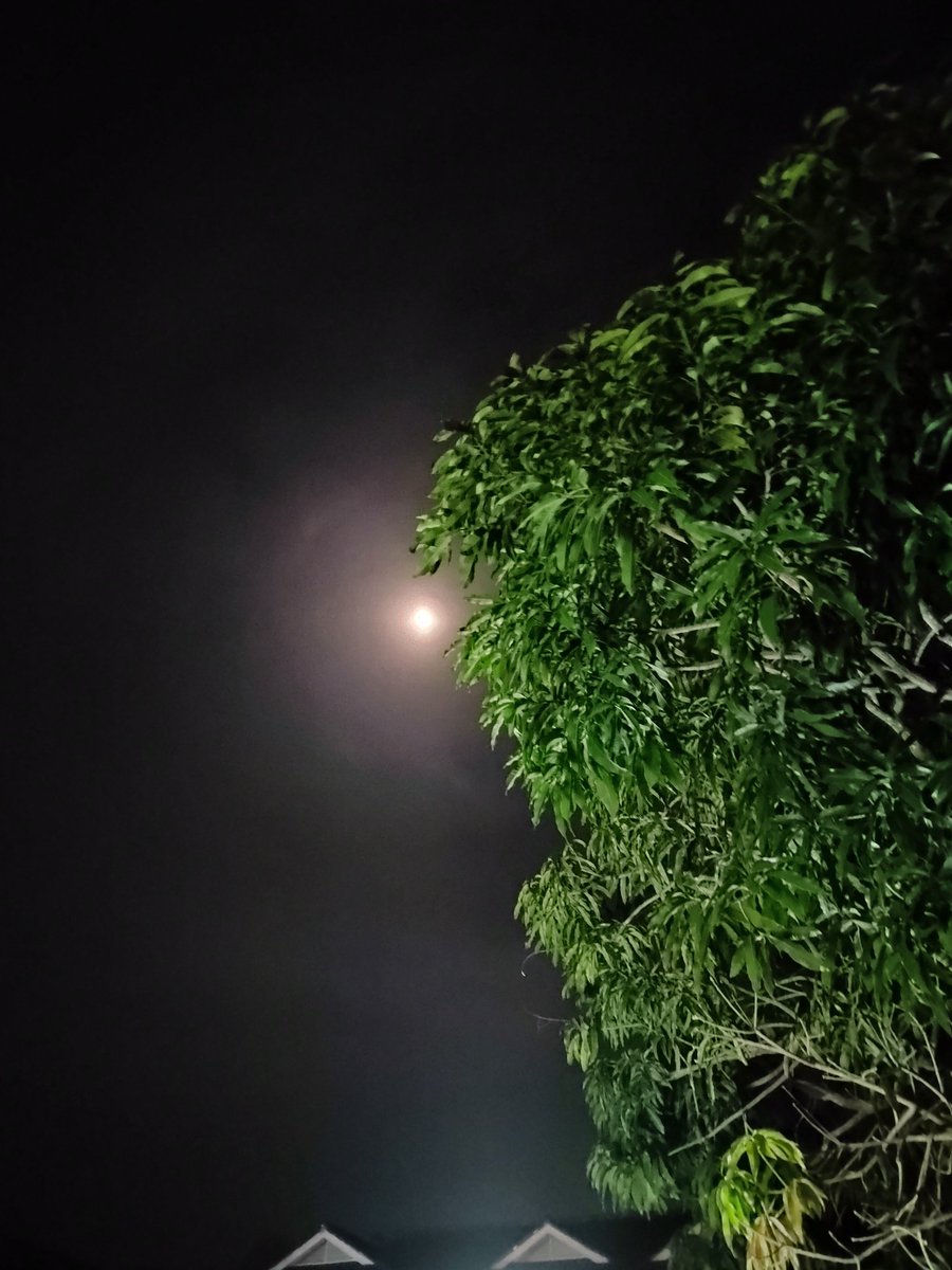 sadiach113's tweet photo. Have a Blessed night everyone
#syfamily #nightsky #BlessedAndGrateful https://t.co/wlTUs9pnFv