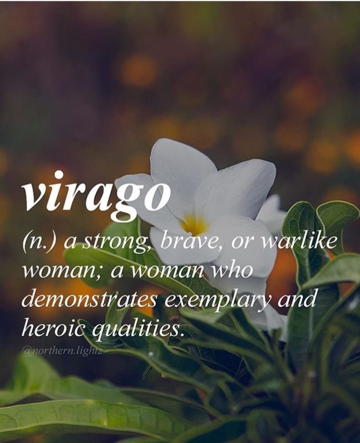 fun_classics's tweet photo. the two types of #Latin #wordsoftheday posts https://t.co/oJxCzsfdZW