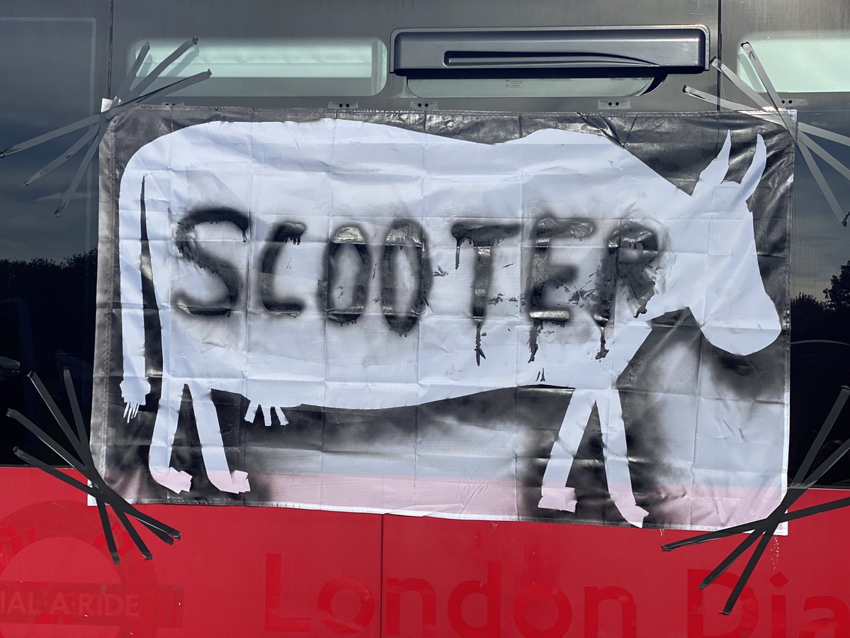 Lisa Utley tweet media