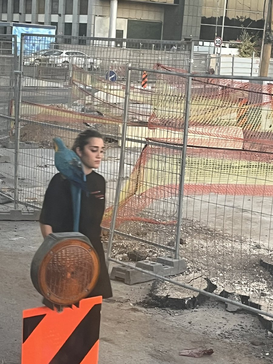 Turiskiguy's tweet photo. הדבר הכי מגניב שראיתי https://t.co/gqTCapuk6o