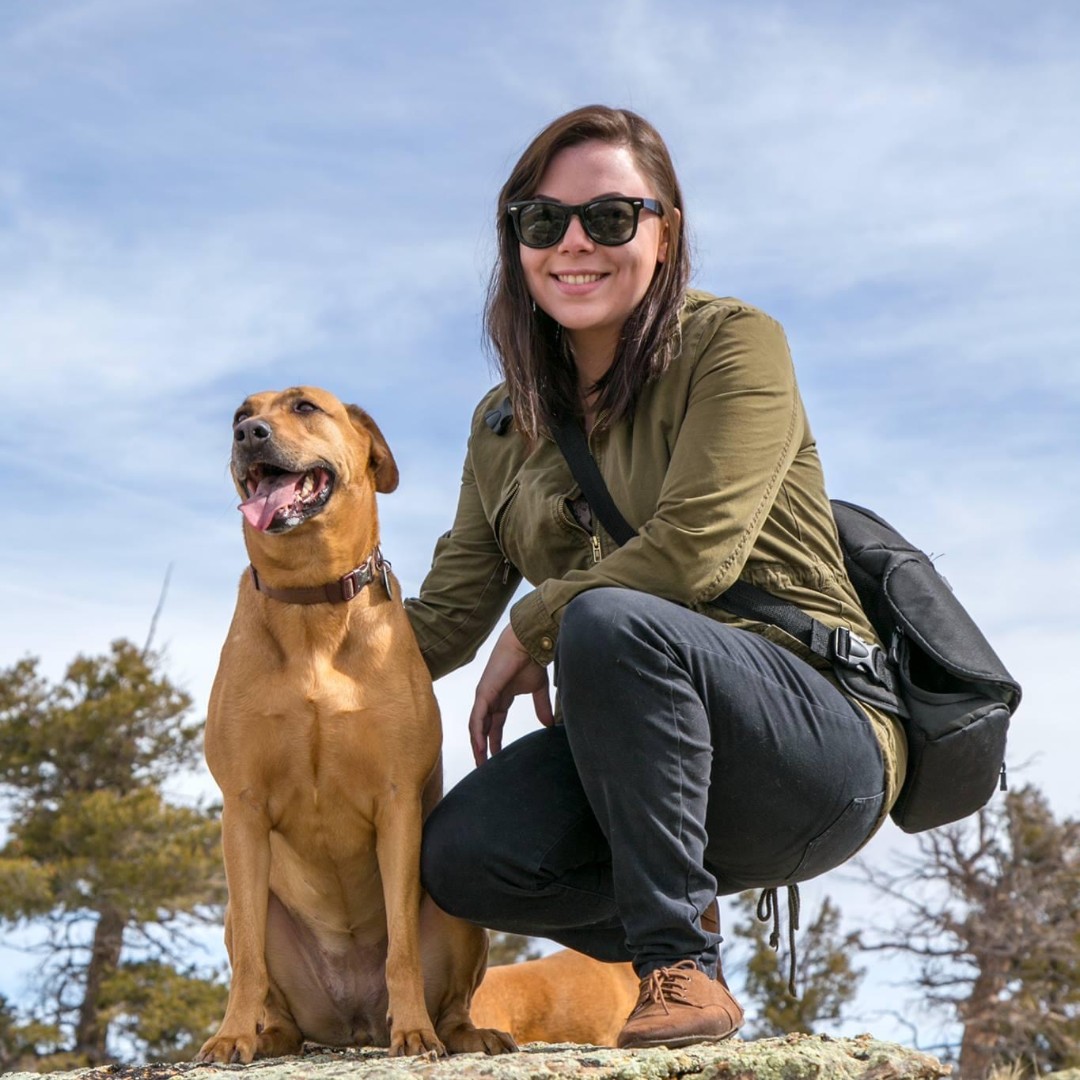 Center for Health Equity Research tweet media