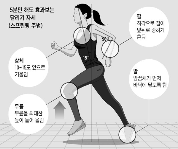 beetie135's tweet photo. 전력질주를 할 땐 다음 주법을 따릅시다.
달릴때 숨을 참고, 팔을 빠르게 흔들면 속도는 비약적으로 증가합니다.

이렇게 뒤는 돌아보지도 말고 최대한 멀리, 
가능하면 소리를 지르면서 주위에 위험을 알리는 것이 최선의 방법입니다.

운동 삼아서라도 항상 질주하는 법은 배워둡시다. https://t.co/fQhFCPLlq9