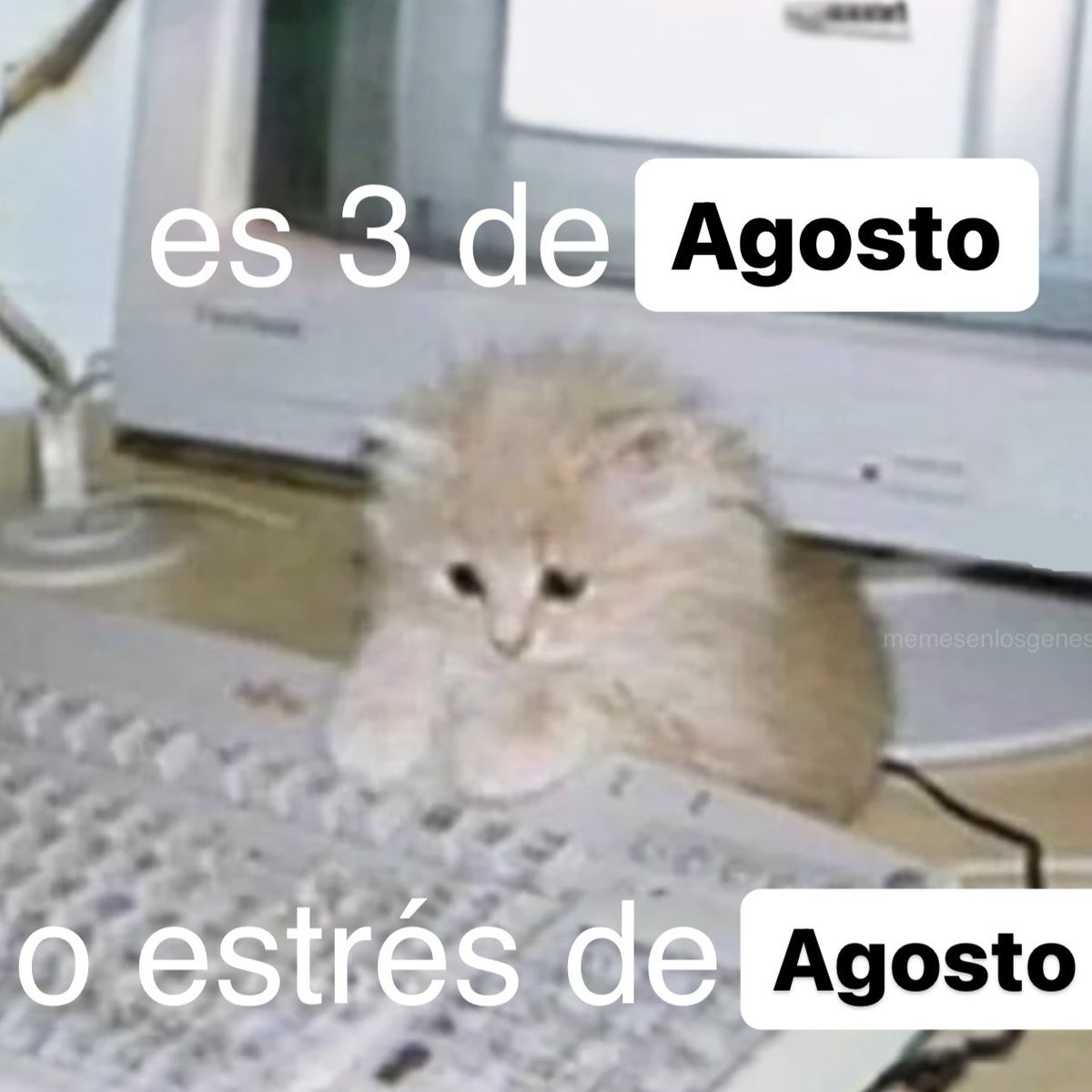 memesenlosgenes (@memesenlosgenes) on Twitter photo 