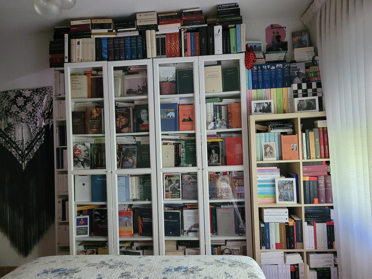 Alex_philosoph's tweet photo. No me gusta presumir de nada. Pero es verdad que coloco los libros muy bien. De manera eficiente pero también cuidando la estética. Es algo por lo que siempre me felicitaban en la librería.
Y es que me encanta dedicar horas y horas a colocar mis libros. 😍 https://t.co/2gq5s8BGd9