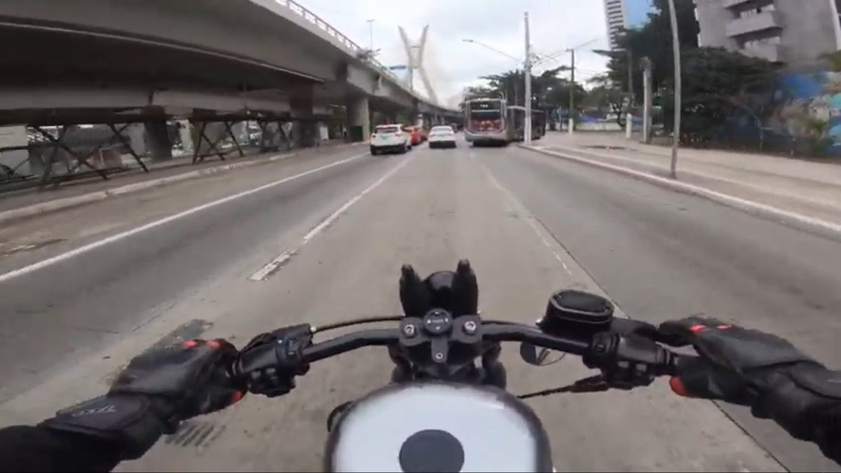 SusanaPS6's tweet photo. ✨ #LeandroAmorim • ACELEREI A HD48 DO BRABO @BrenoSimoes" 🏍

LINK NA BIO 📺 ✔️
#harley #harleydavidson #acelerasp #sampa
.
https://t.co/cOfyBj77jj https://t.co/px5Zy4RKW8