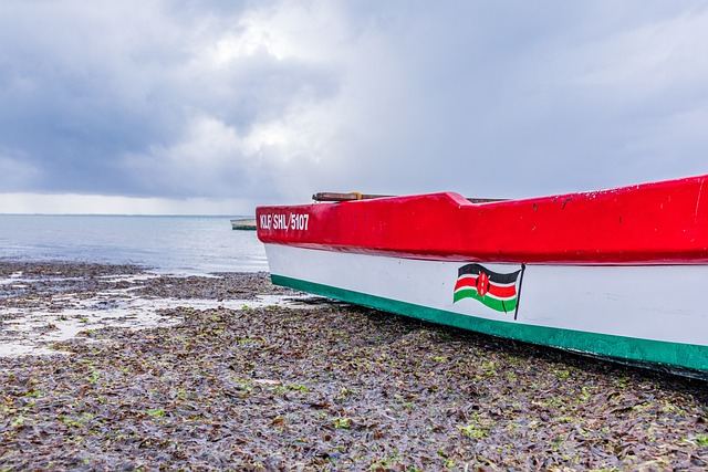 ⚠️ NEW: Global South Paper of the Month! '#Environmental management practices implemented by the #hotel sector in #Kenya' Available now in #FreeAccess in @WorldLeisureOrg #journal: doi.org/10.1080/160780… @tandfsport #Researchpaper #leisure