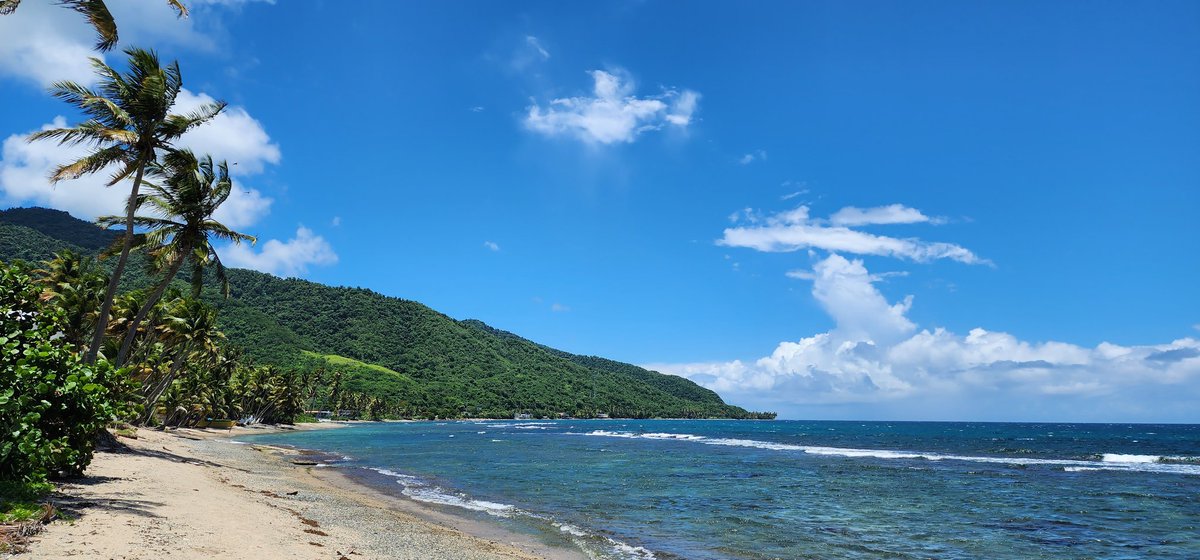 JoshuaOOrtiz1's tweet photo. Soy bendecido por tener siempre la dicha de curar, despejar todos los problemas y cargas de la semana en mi mismo trabajo.

#Guardarraya #Patillas 🇵🇷 https://t.co/J9szEZBBaD